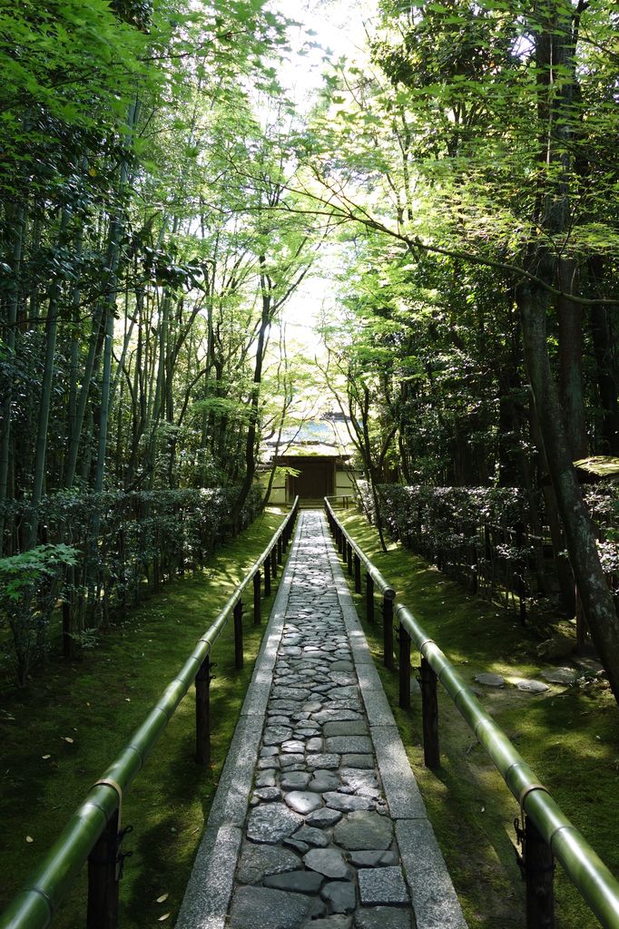 Cesta k chrámu Kótó-in, zde se zrodil japonský čajový obřad