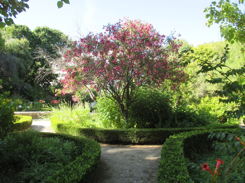Botanická zahrada Lisabonské Univerzity