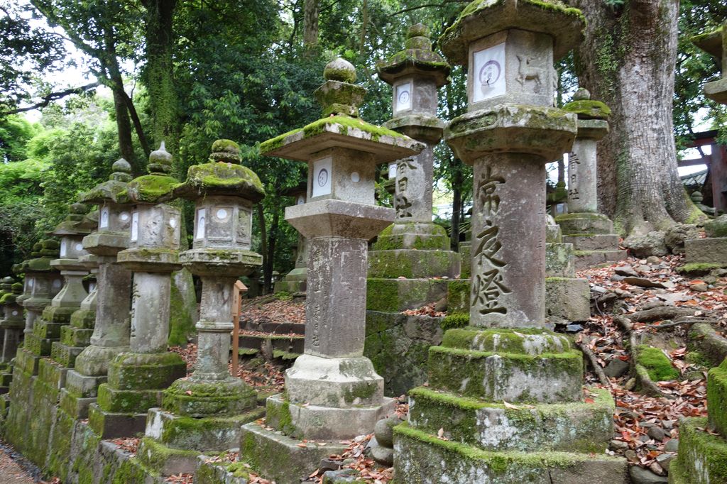 Kamenné lampy po cestě ke svatyni Kasuga Taiša